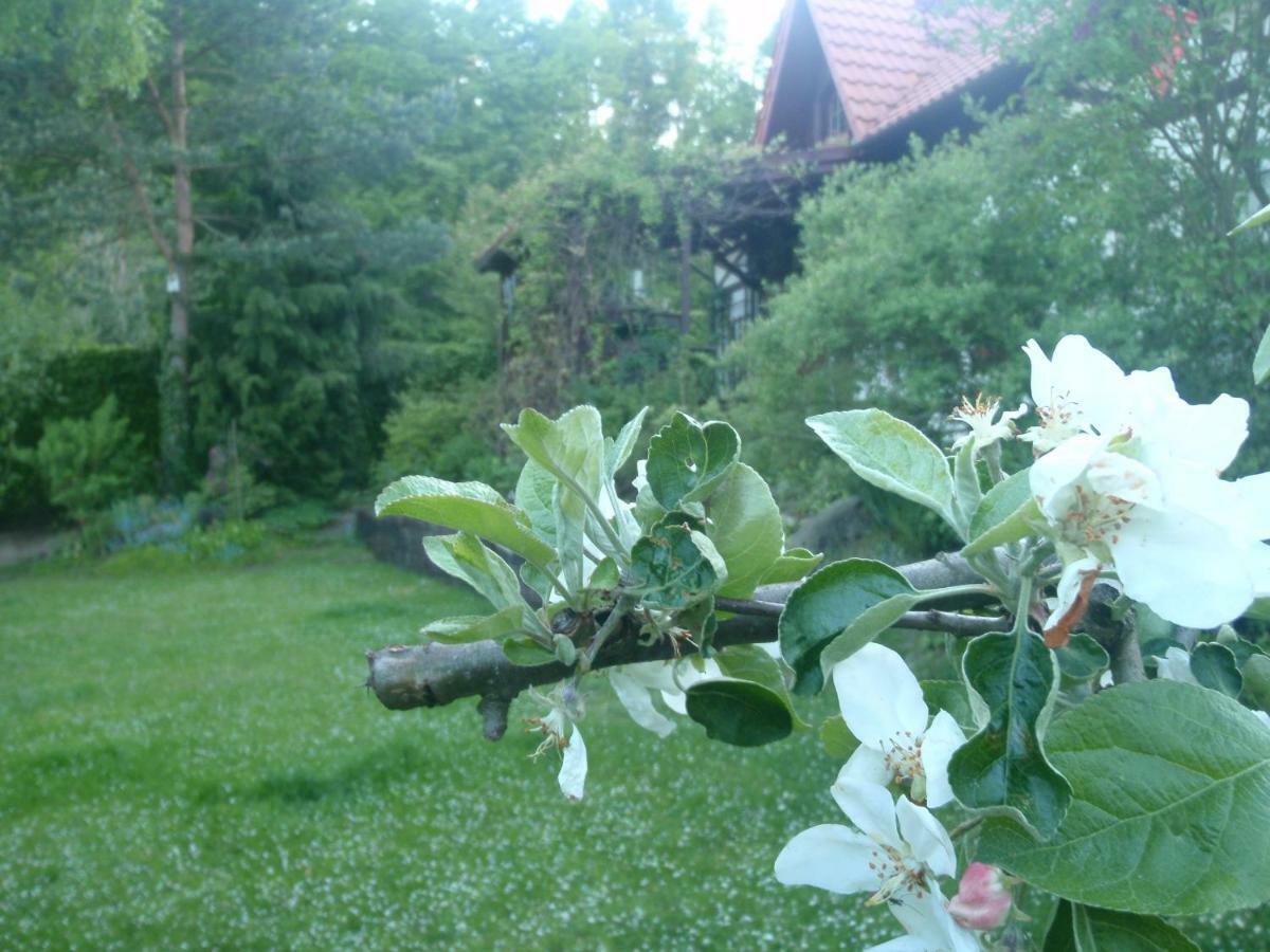 Birchy Hills Διαμέρισμα Sitno  Εξωτερικό φωτογραφία